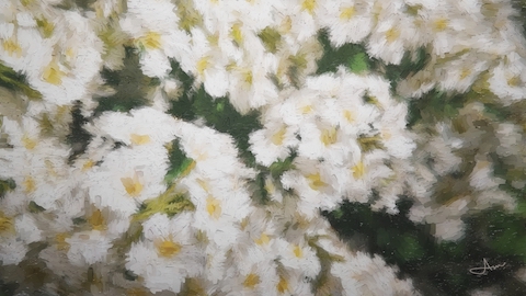 Thumbnail of The garden's meadowsweets by Anna Maria Casa.